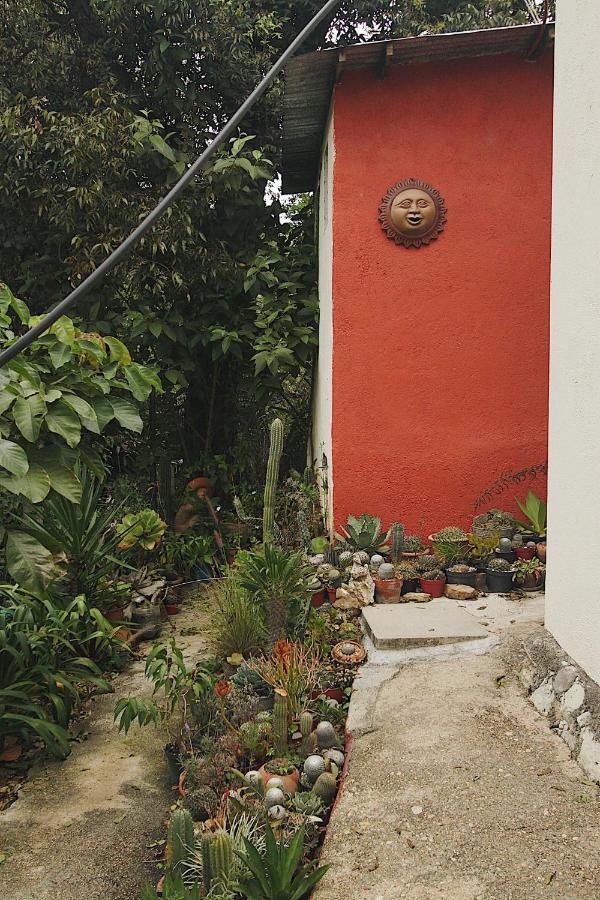 Cabana Campestre En Oaxaca Exteriér fotografie