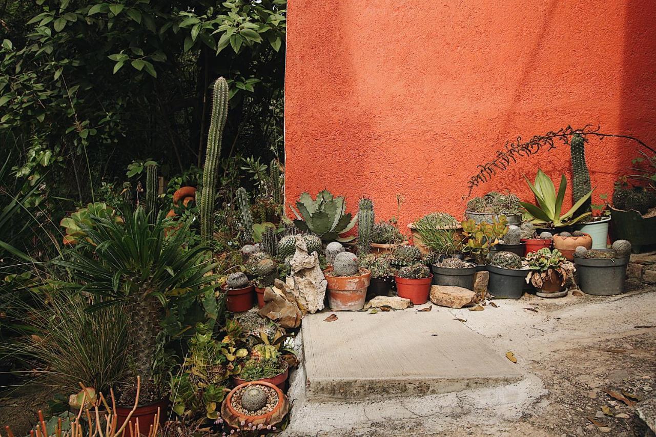 Cabana Campestre En Oaxaca Exteriér fotografie