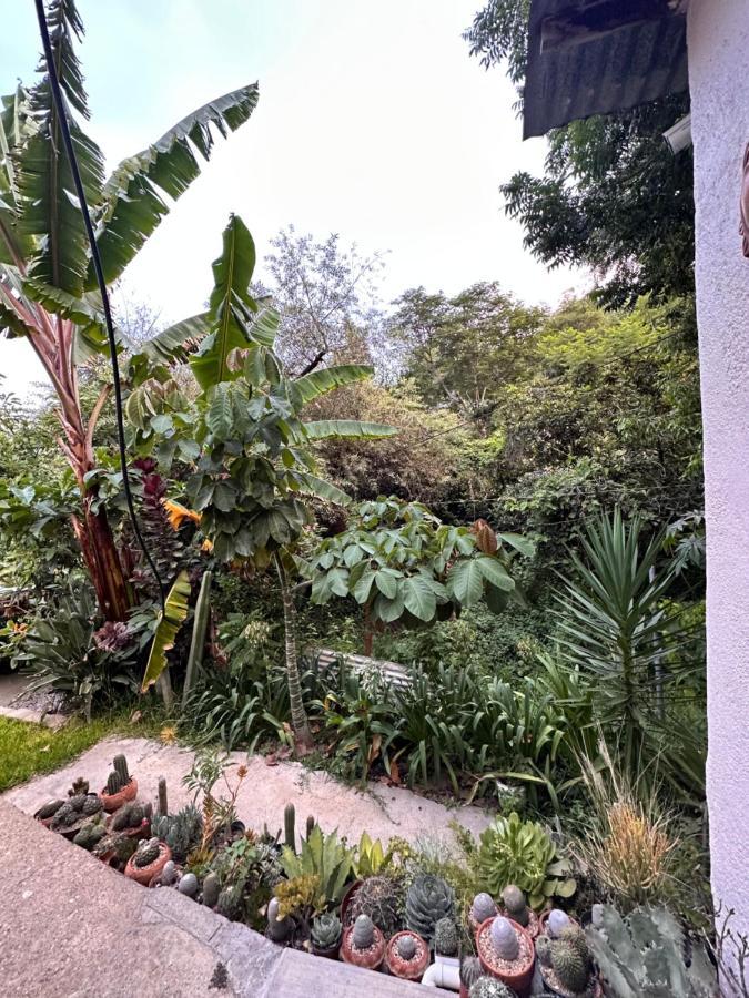 Cabana Campestre En Oaxaca Exteriér fotografie